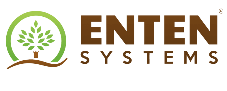 Enten