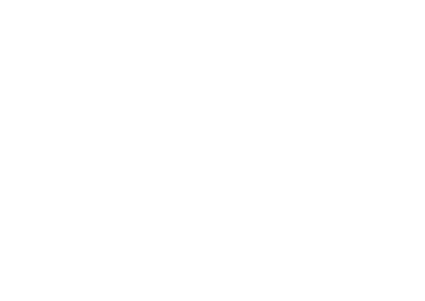 Flip