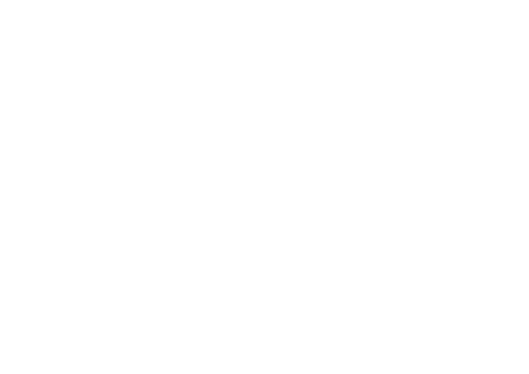 V7 Studio